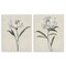 Stupell Industries Rounded White Rose Petals 2pc Canvas Set By Sally Swatland